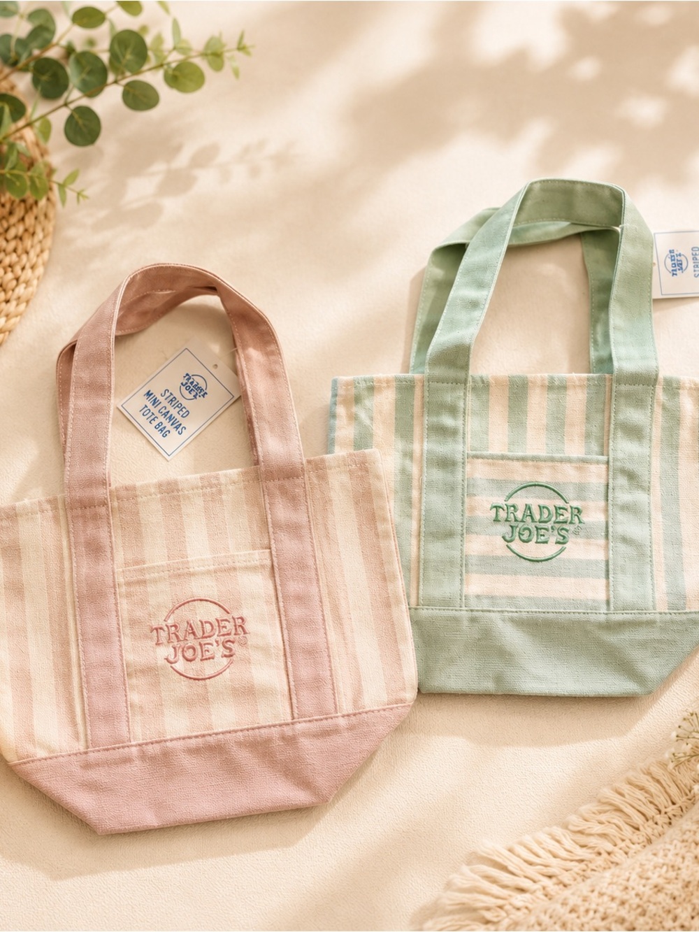 Trader Joe's Striped Mini Tote Bag - Light Brown & Mint